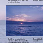 08_glossary
